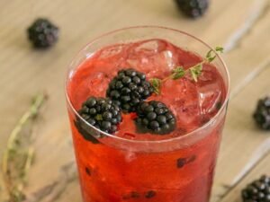 Mocktail Blackberry Spritzer Recipe